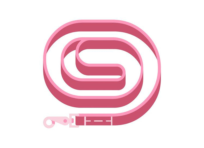 Leads and Harnesses