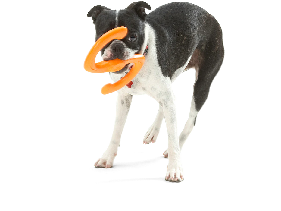 West Paw - Bumi