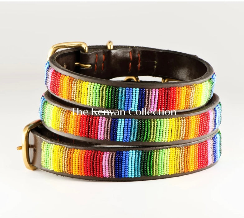 The Kenyan Collection / Rainbow Lurcher