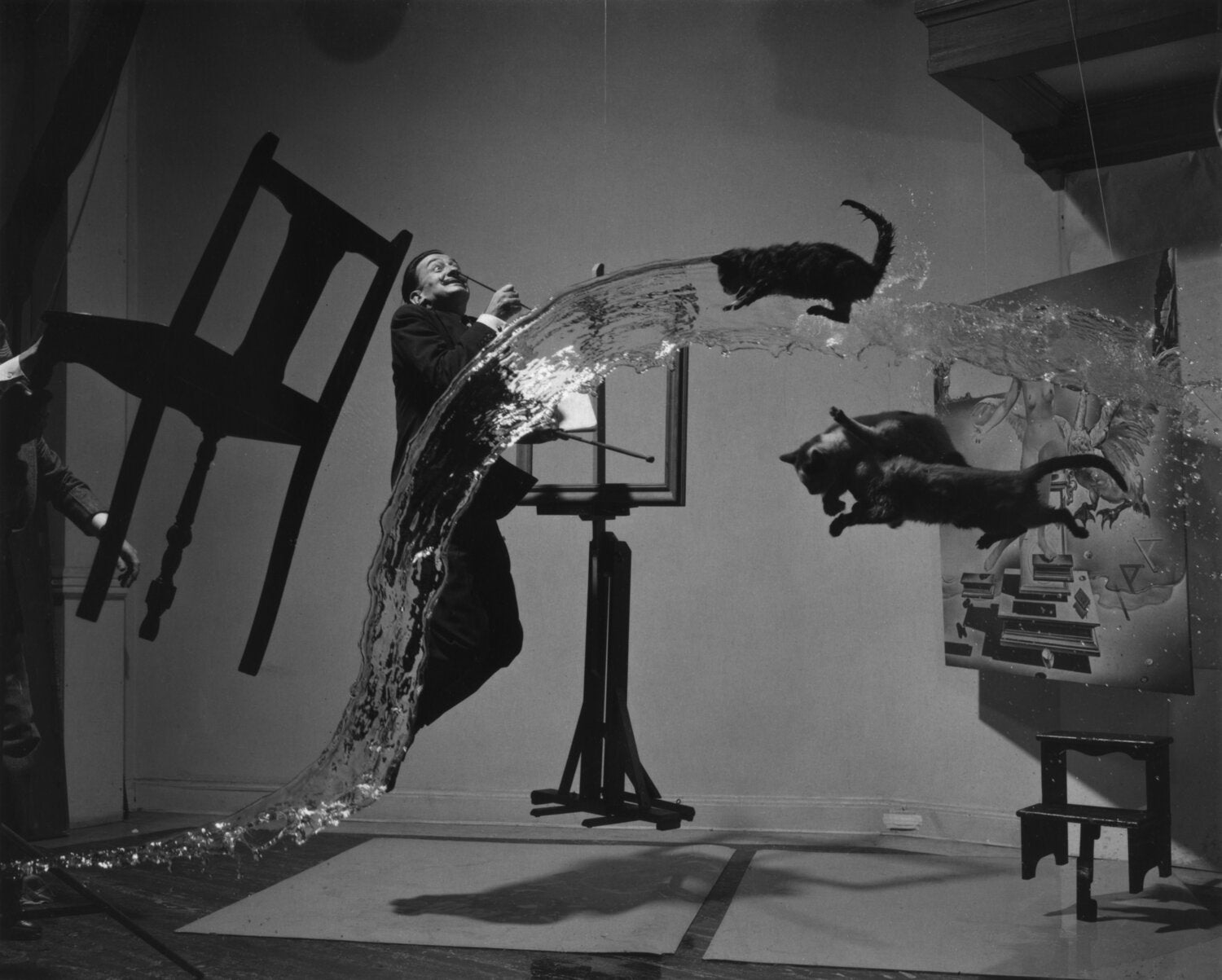 floating cats