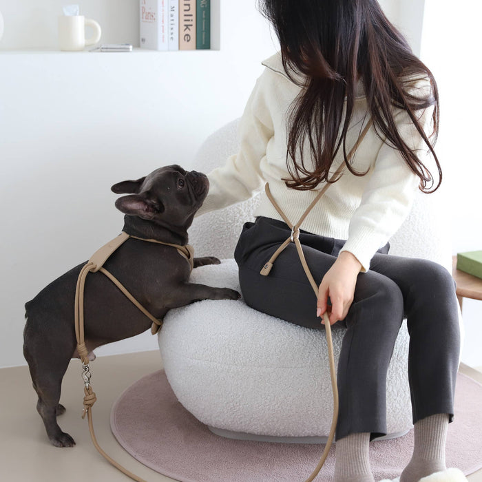 Hozi - 3way Hands Free Leash