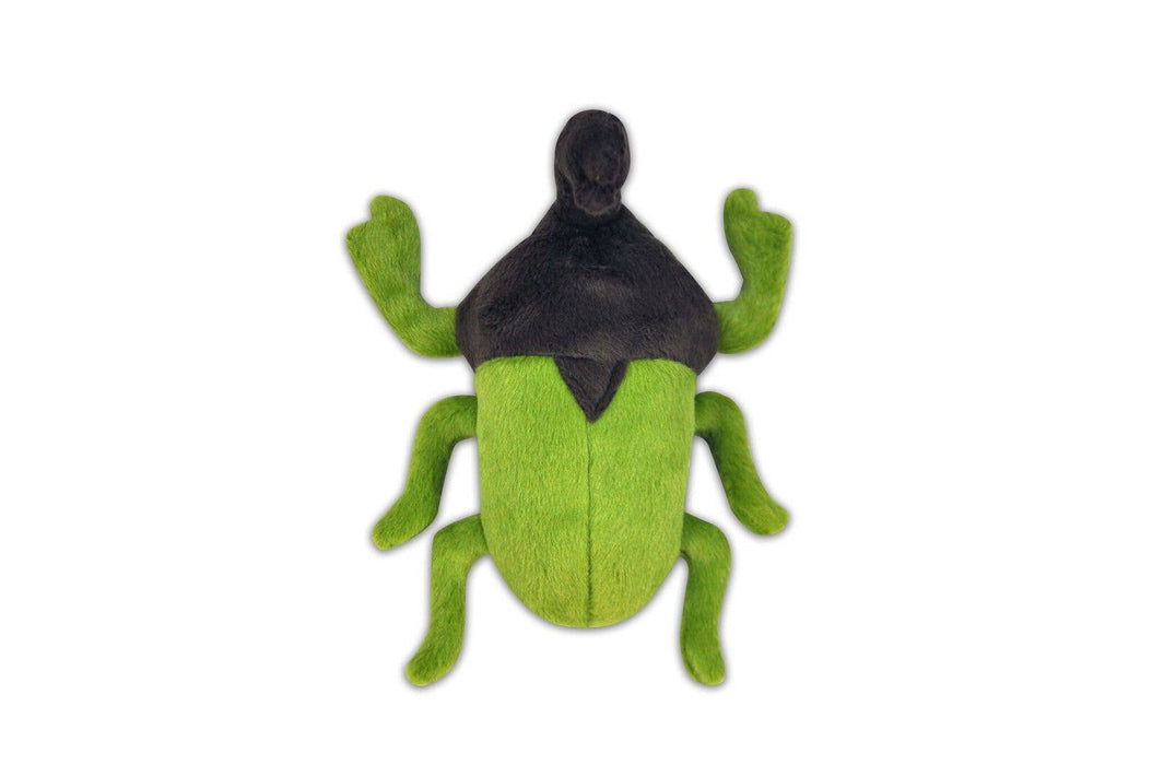 P.L.A.Y. Pet Lifestyle and You - Bugging Out - Rhino Beetle