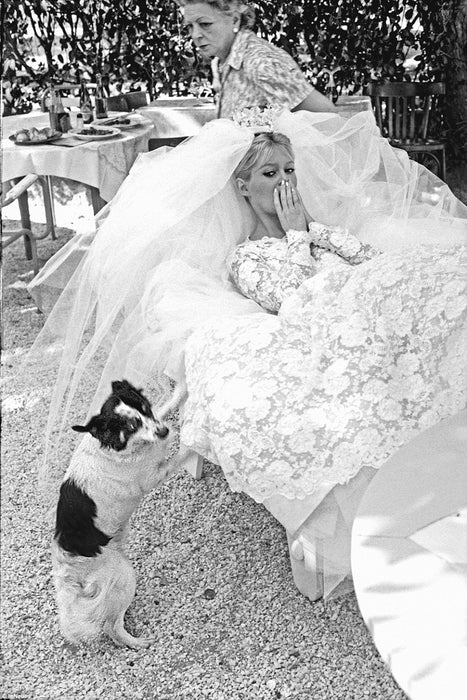 Celebrity Pets On The French Riviera In The 50's & 60's
