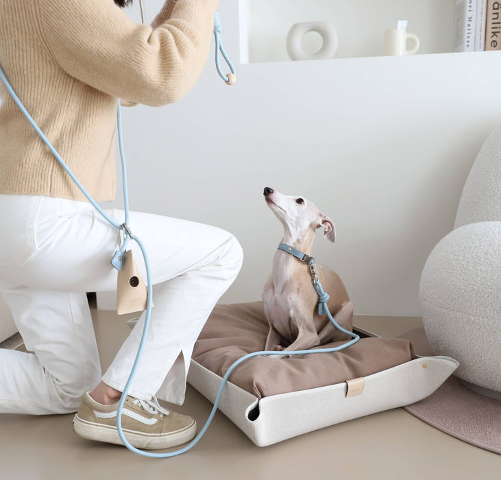 Hozi - 3way Hands Free Leash