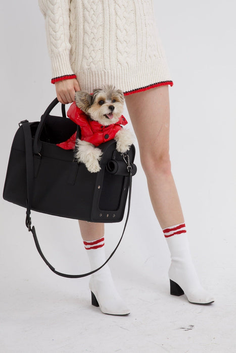 Moshiqa Jag Pet Carrier - Gris
