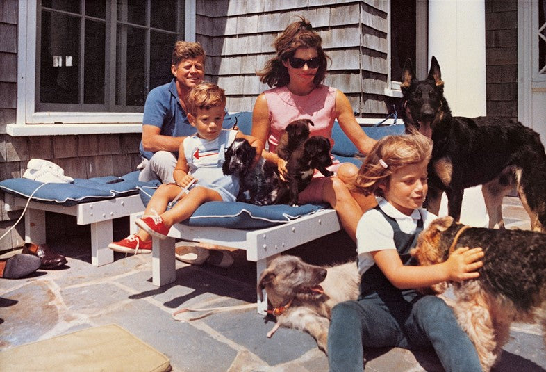 Squarespace. The Dog In Photography - 1839 to Today