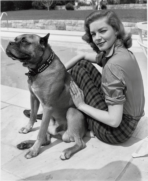 Squarespace. The Dog In Photography - 1839 to Today
