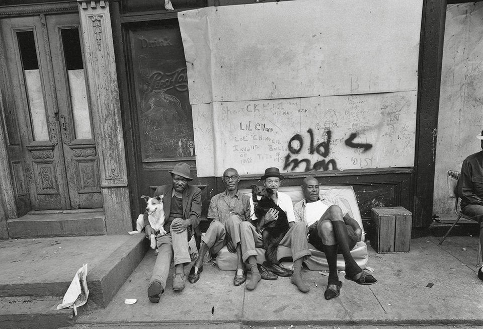 Squarespace. The Dog In Photography - 1839 to Today