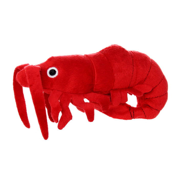 Tuffy Dog Toys - VIP Products - Mighty Jr Ocean Prawn