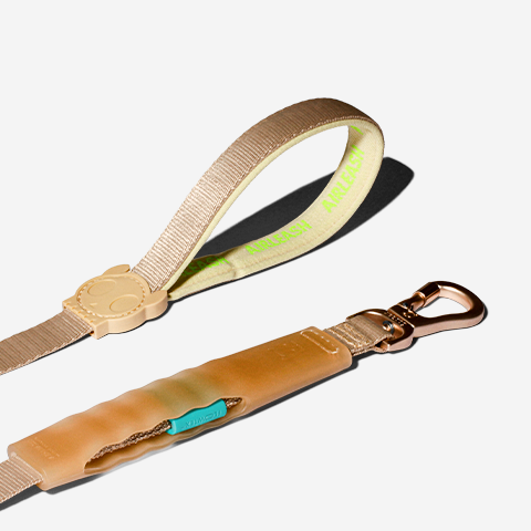 Kim | Airleash