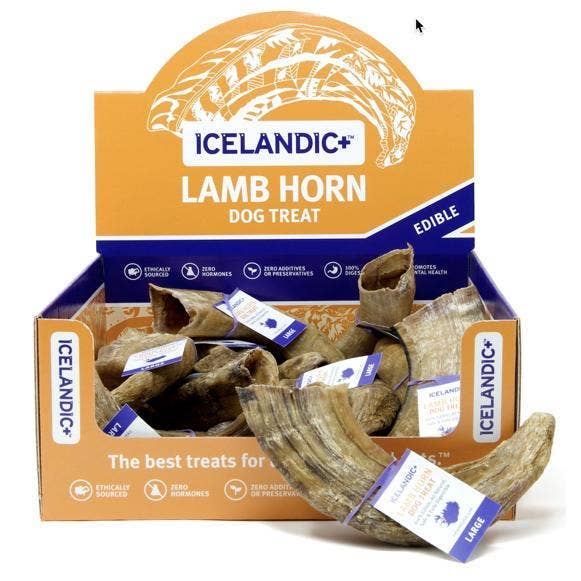 Icelandic+ - Icelandic+ Large Lamb Horn Dog Treat 12-Ct Display Box