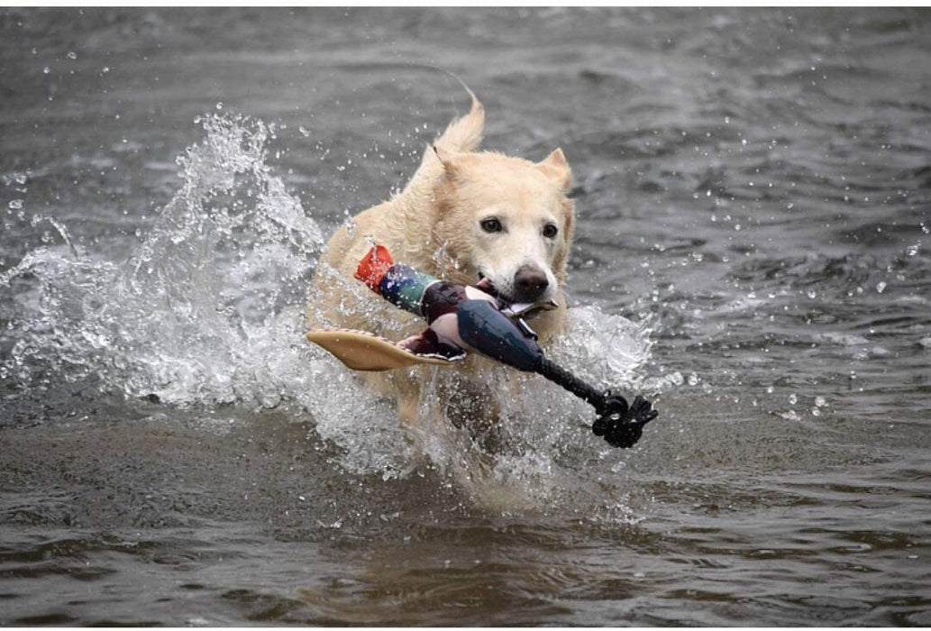 Sunky Pup - Fly & Fetch Duck