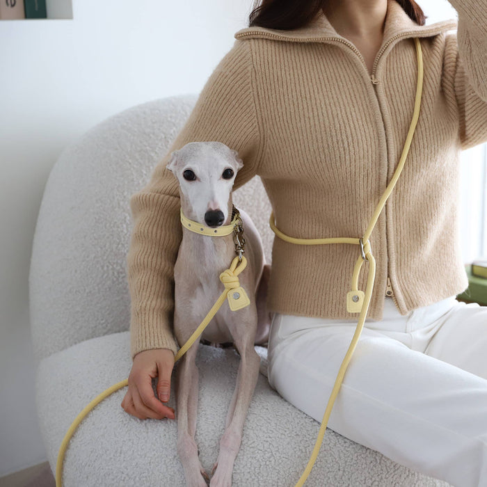 Hozi - 3way Hands Free Leash