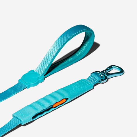 Blue | Airleash