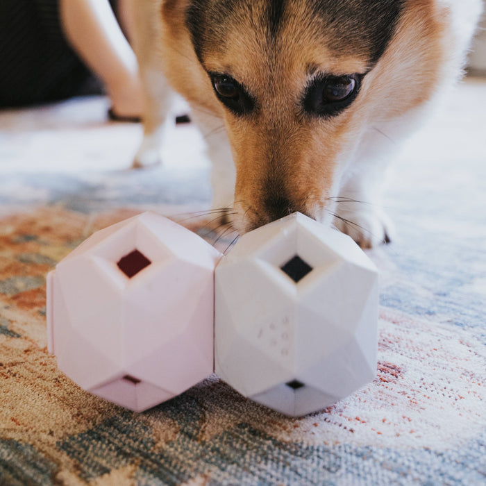 Up Dog - The Odin Light Grey