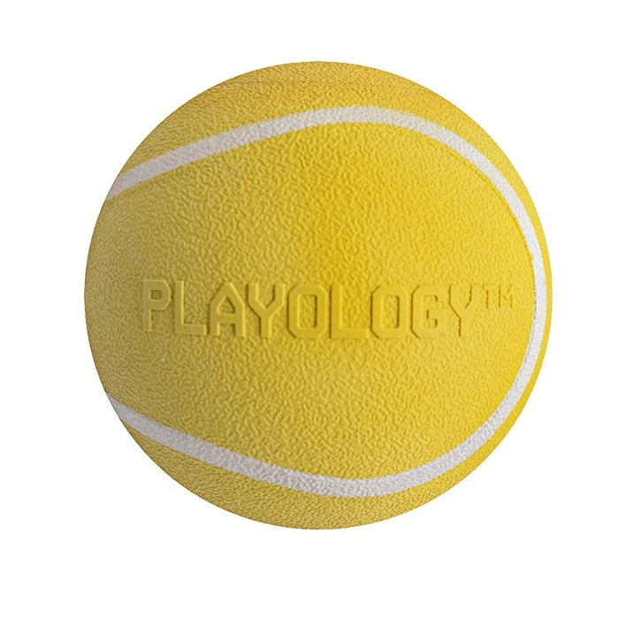 Playology - Squeaky Chew Ball Chicken Scented