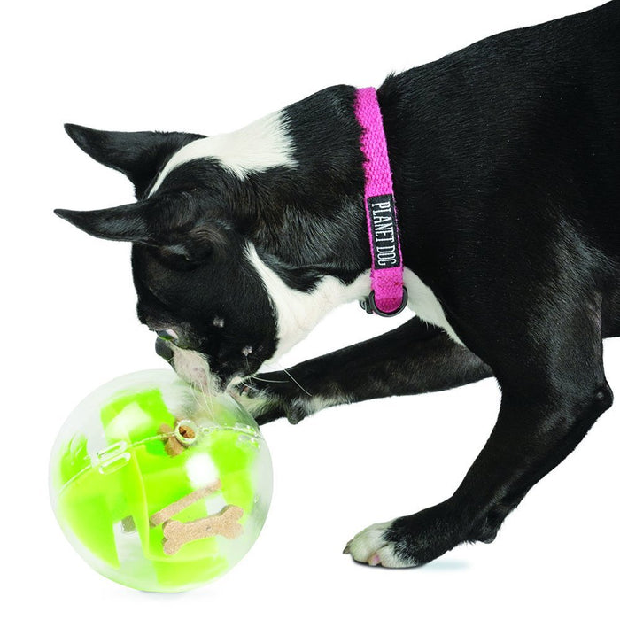 Planet Dog Mazee - Green