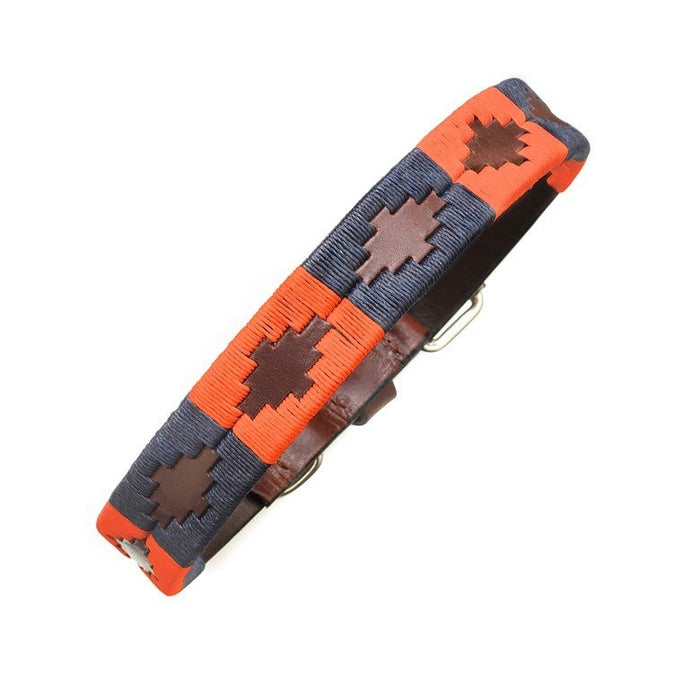 Hand made Polo Dog Collar-Audaz