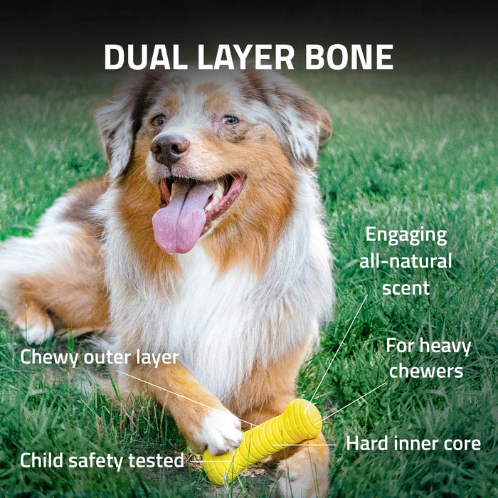 Playology - Dual Layer Bone  Chicken Scented