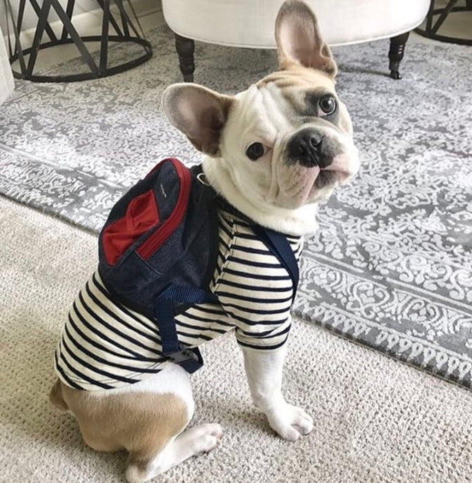 Wagwear - Denim Mini-Backpack