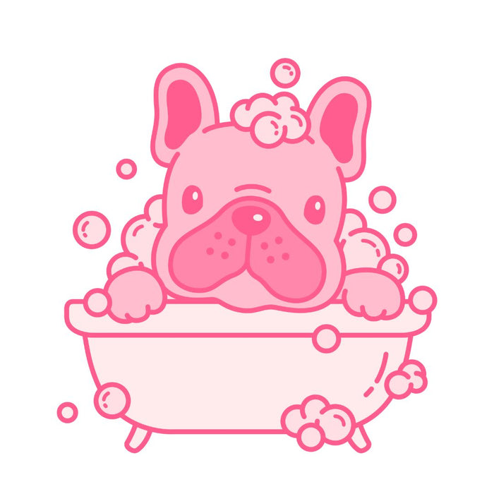 Spa Appointment