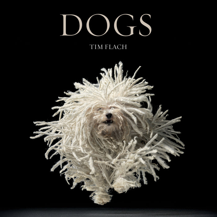 Squarespace. DOGS