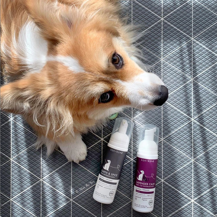 Kin+Kind Organic Waterless Shampoo - Lavender