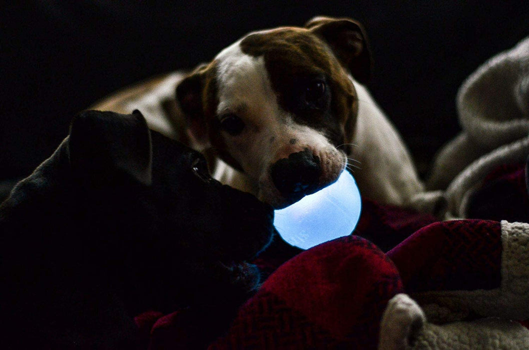 Planet Dog - Strobe Ball Glow