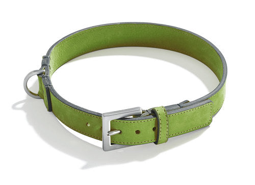 Schröders Hund - Clic-Clic /  Feuillage
