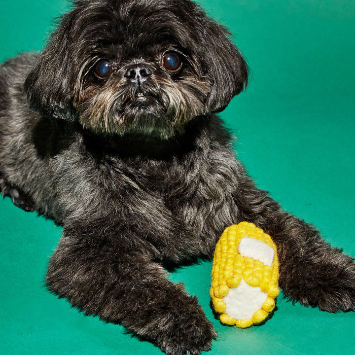 Corn Cob