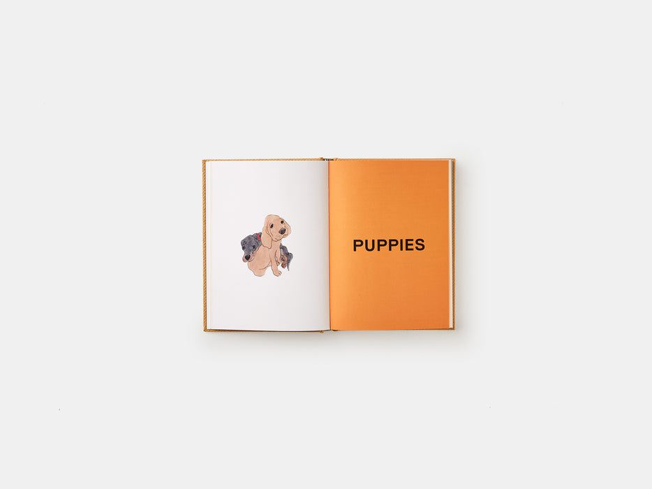 Squarespace. Feed Me