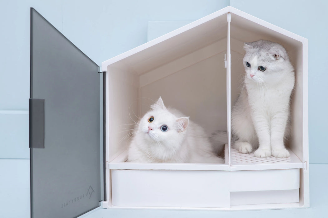 Furrytail Glow XL Semi-Closed Litter Box
