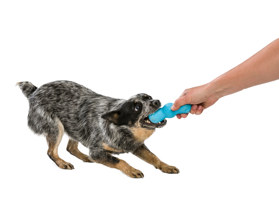 West Paw - Rumpus