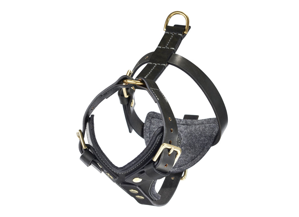 Old School Harness-Black