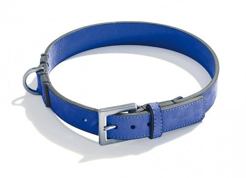 Schröders Hund - Clic-Clic /   Bleu Roi