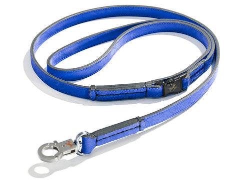 Schröders Hund - Clic-Clic Lead Bleu Roi