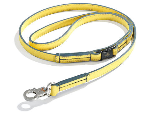Schröders Hund - Clic-Clic Lead Soleil