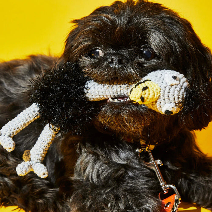 Ware Of The Dog - Crotched Ostrich